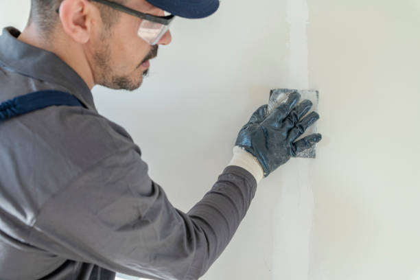 Best Drywall Removal and Disposal  in Richmond, CA